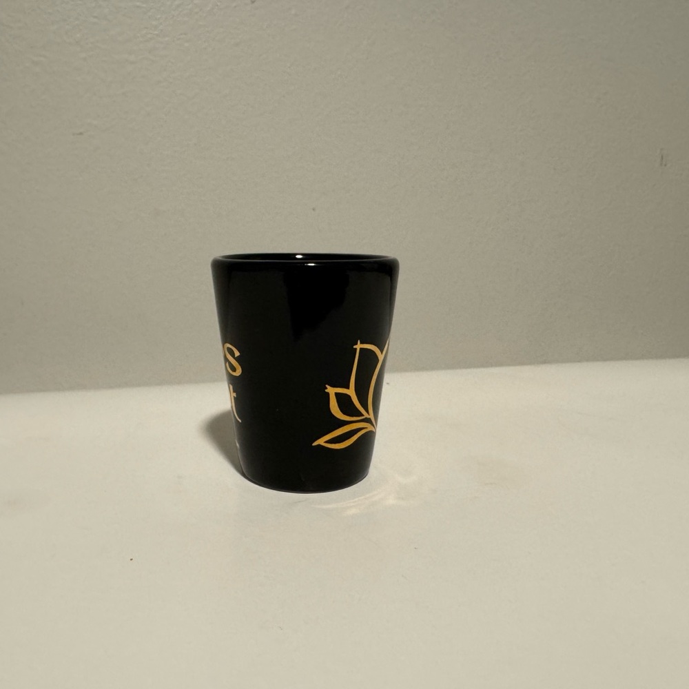 Disney Animal Kingdom Rivers of Light shot glass - Picture 4 of 4